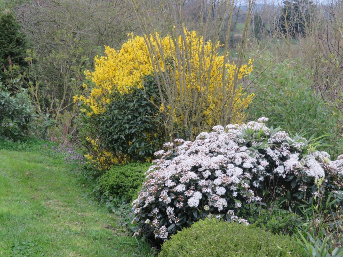 Ecrin de Verdure Sainte-Suzanne  Extérieur photo