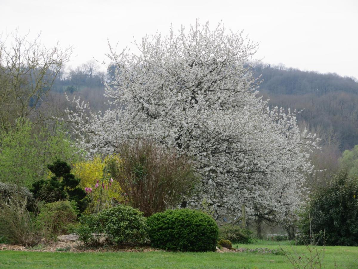 Ecrin de Verdure Sainte-Suzanne  Extérieur photo