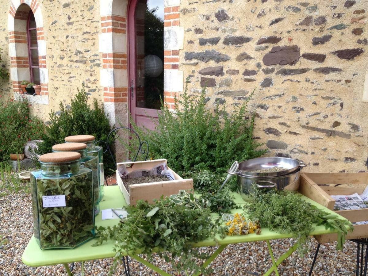 Ecrin de Verdure Sainte-Suzanne  Extérieur photo